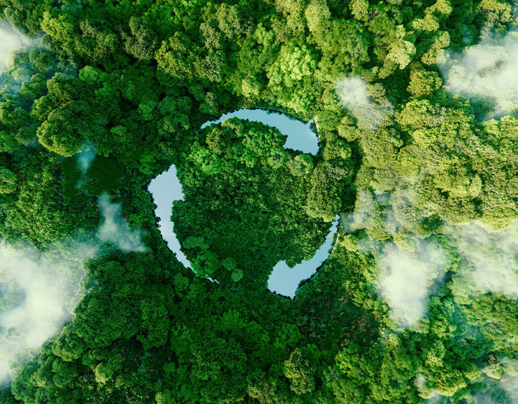 Kunshan Red Apple Plastik Yeni Malzeme A.Ş., Ltd.